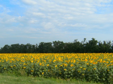 Пейзажи КМВ